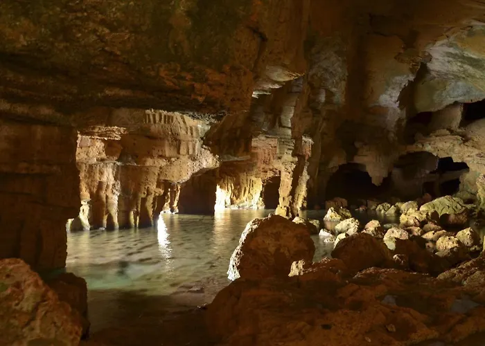 142 Aquamarinas F-14