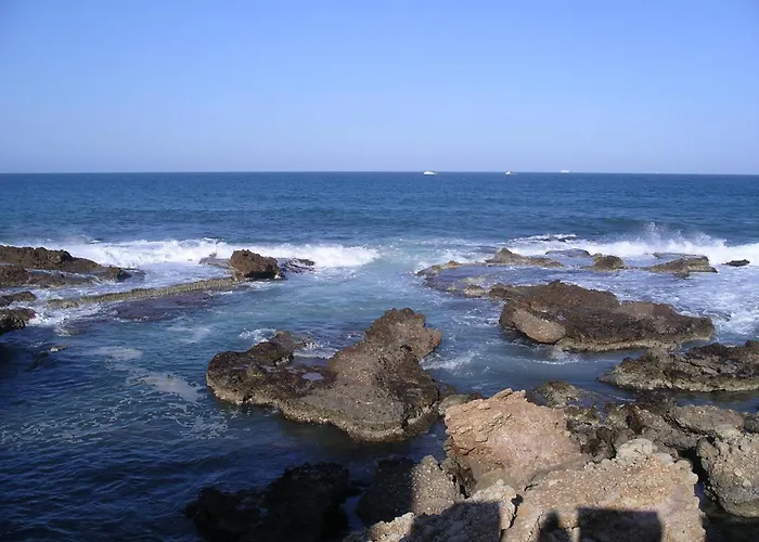 142 Aquamarinas F-14 Denia