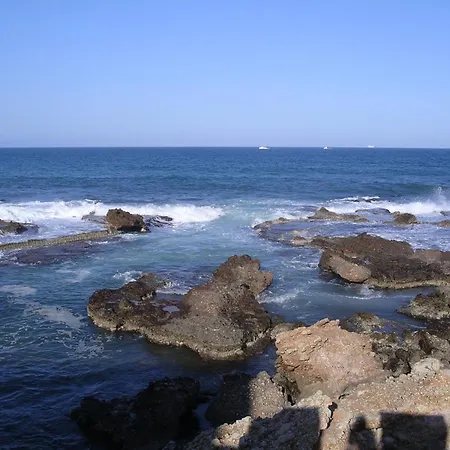 142 Aquamarinas F-14 데니아